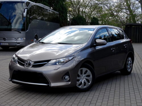 Auris (20)
