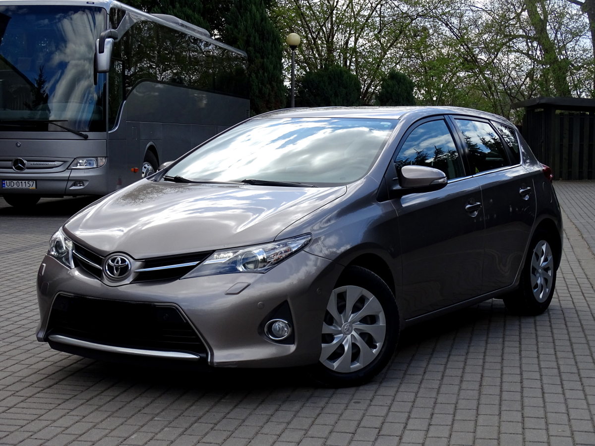 Auris (20)