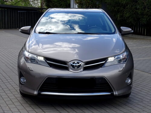 Auris (21)