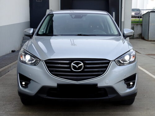 Cx5 (20)