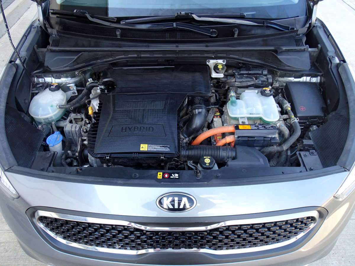 Niro (26)