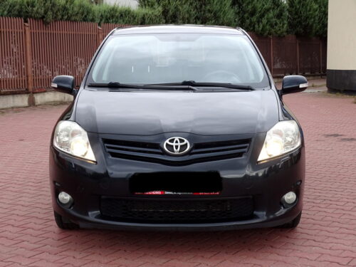Auris (1)