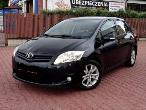 Auris (6)