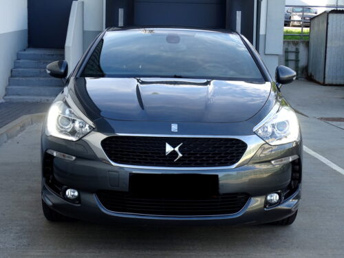 Ds5 (22)