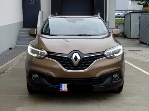 Kadjar (17)