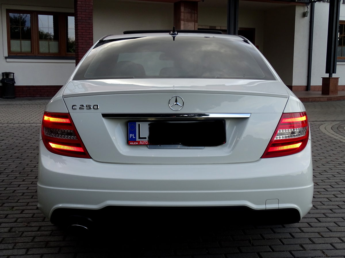 Mercedes (20)