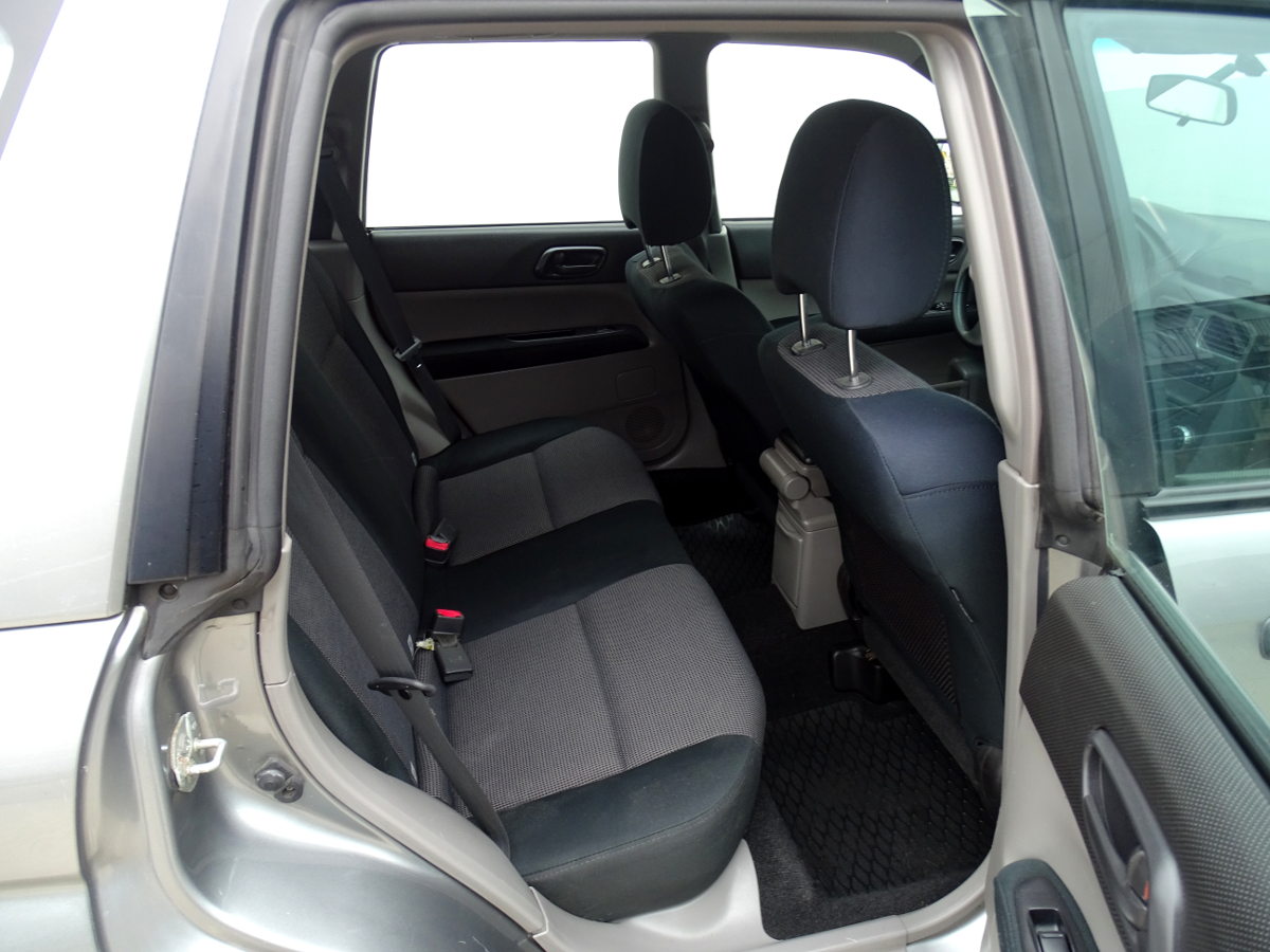 Forester (10)