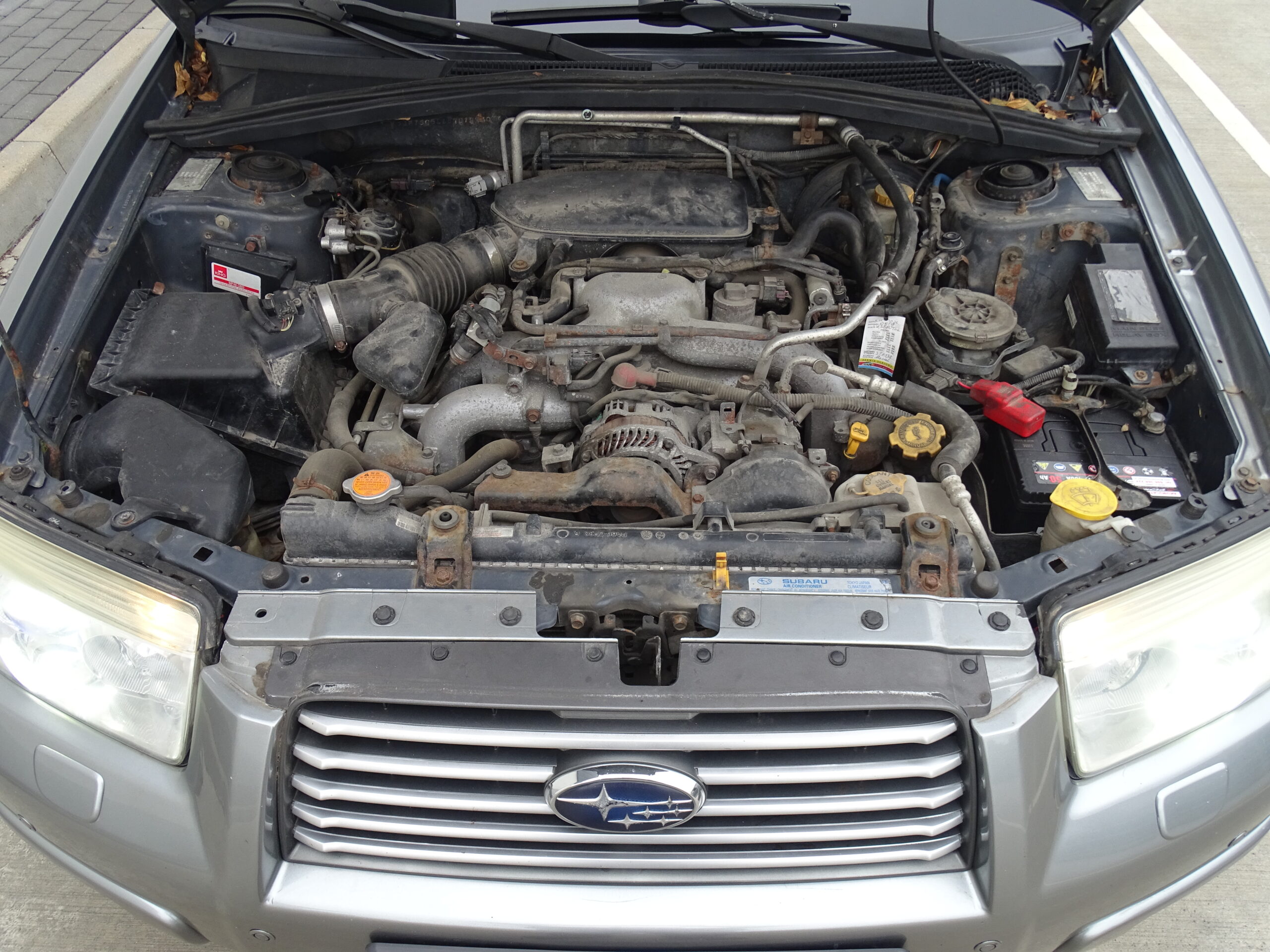 Forester (22)
